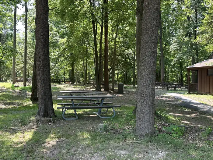 Greenbelt Park Picnic Areas — A picnic tables in the shade of Greenbelt Park Picnic Area