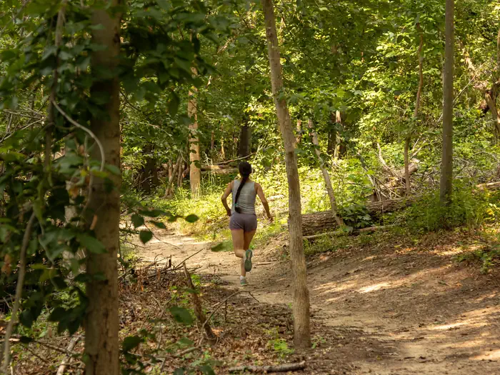 Greenbelt Park Picnic Areas — A Runner under the Trees of Dogwood Trail