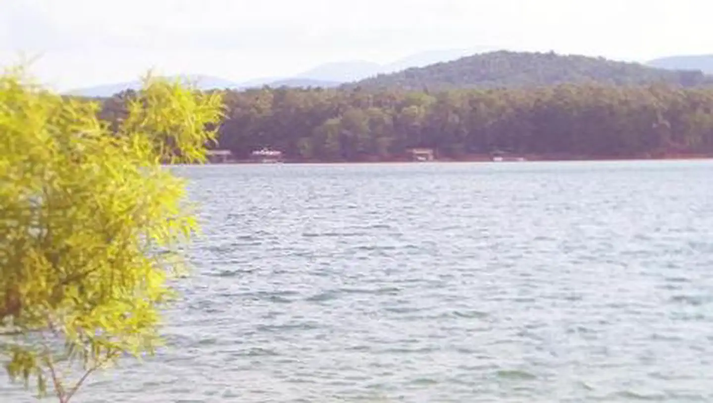 Morganton Point — MORGANTON POINT