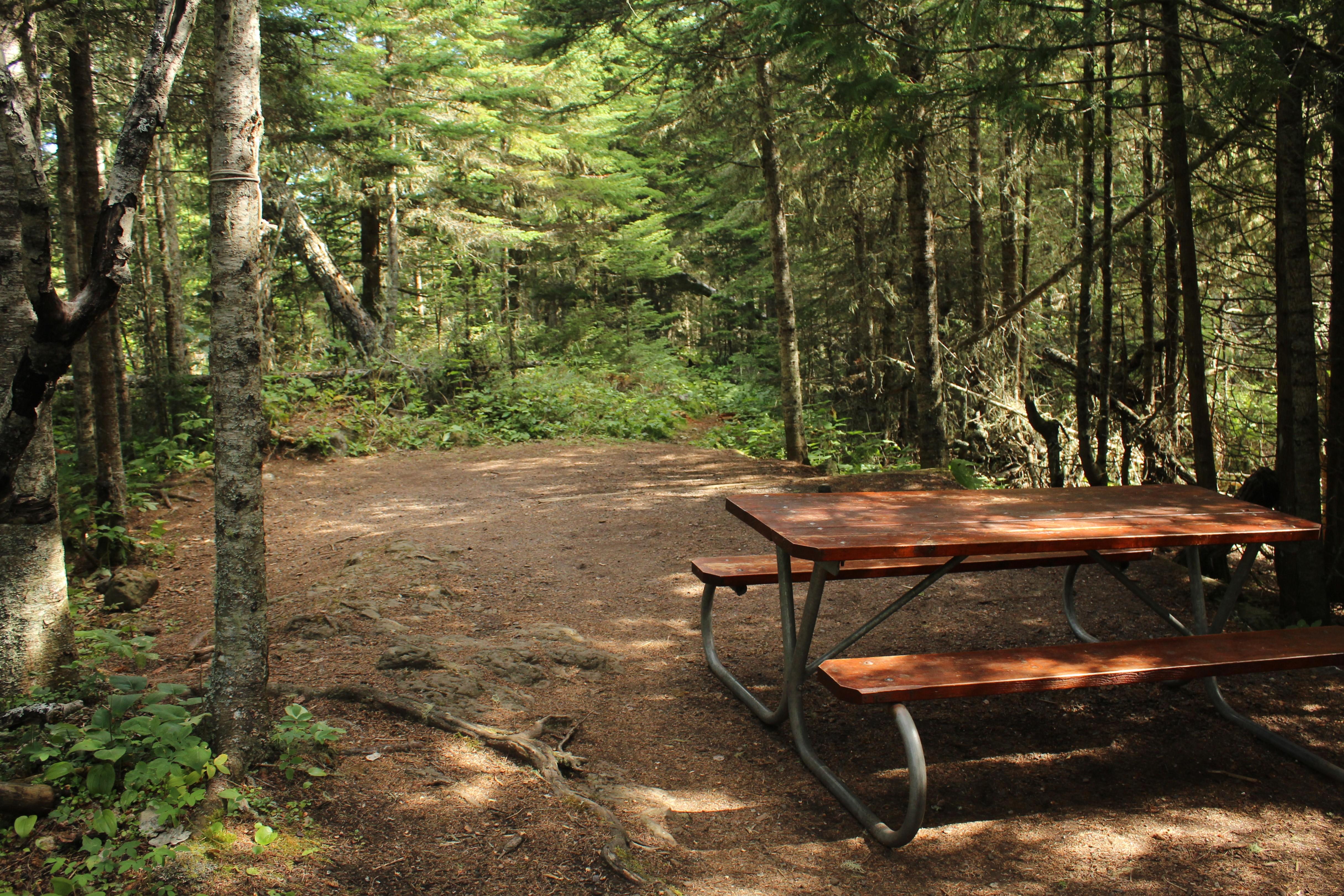 Rock Harbor Campground — Rock Harbor Campground Tent Site #13