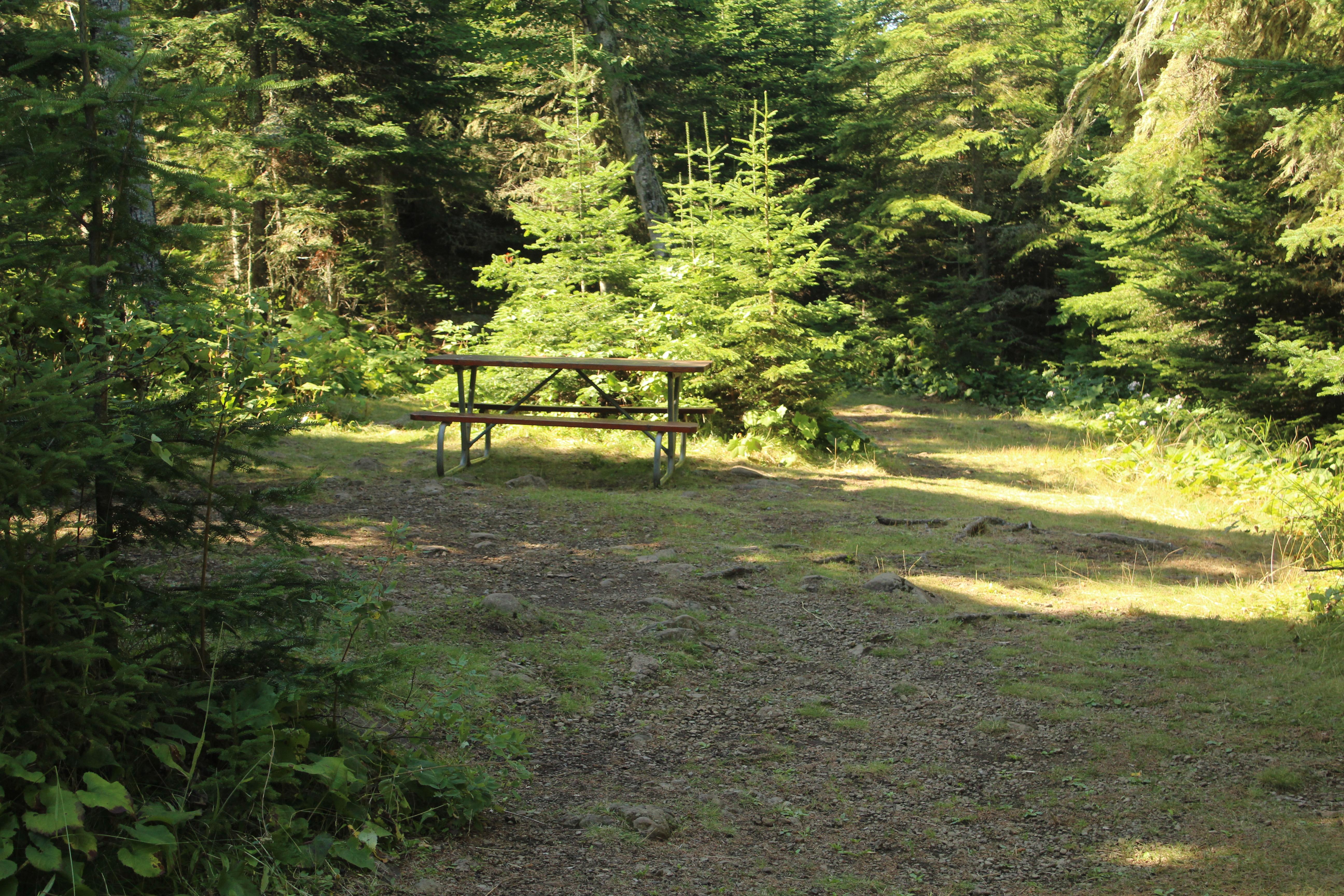 Rock Harbor Campground — Rock Harbor Campground Group Site #1