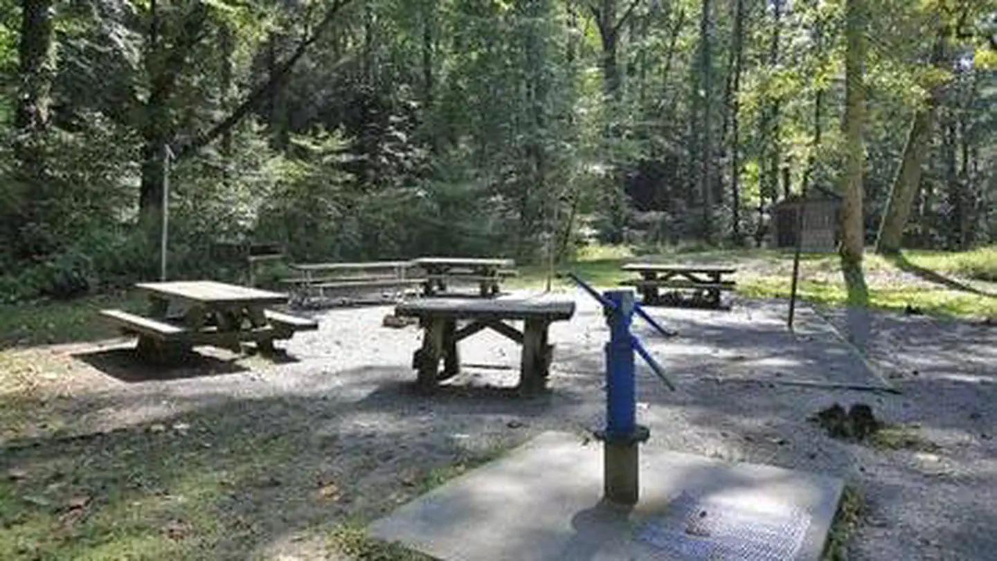 White Pine South Group Camp