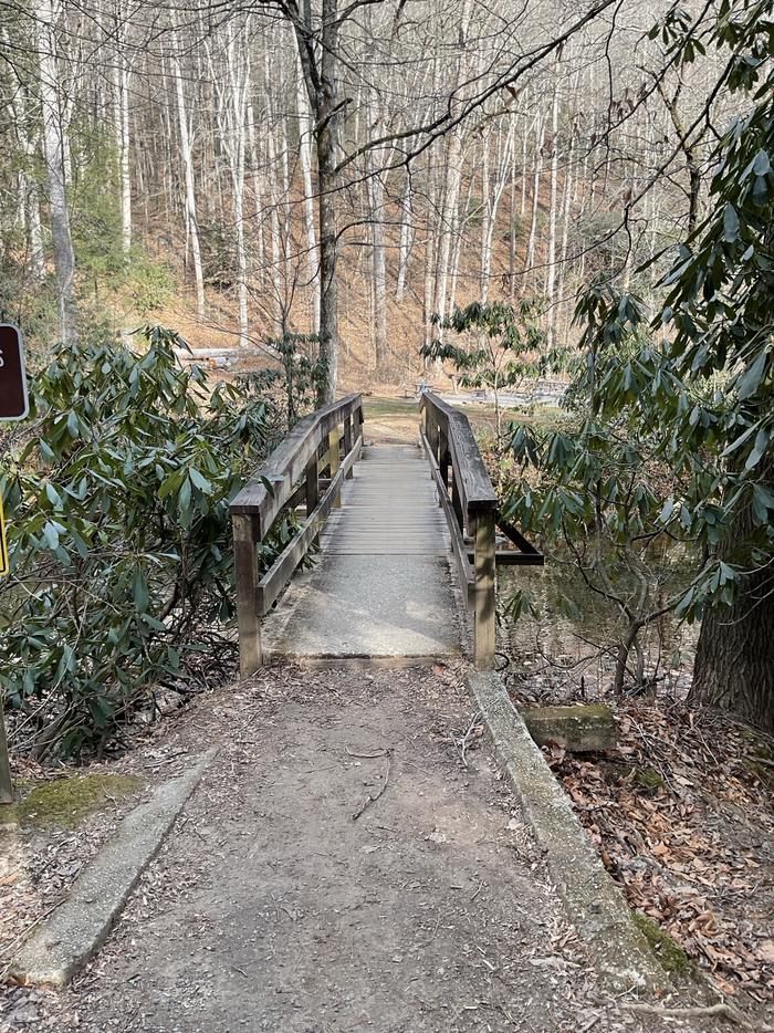 White Pine South Group Camp — Footbridge access to campsite. 