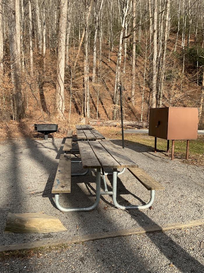 White Pine South Group Camp — Three picnic tables with bear box and cooking grill for group dining.