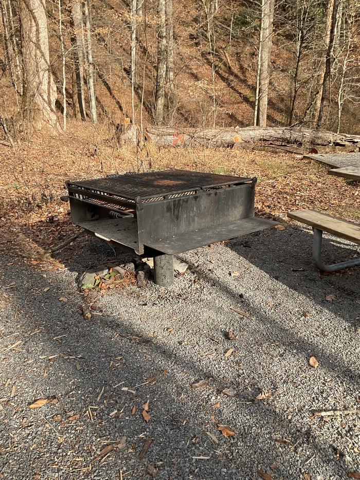 White Pine South Group Camp — Large metal cooking grill at campsite
