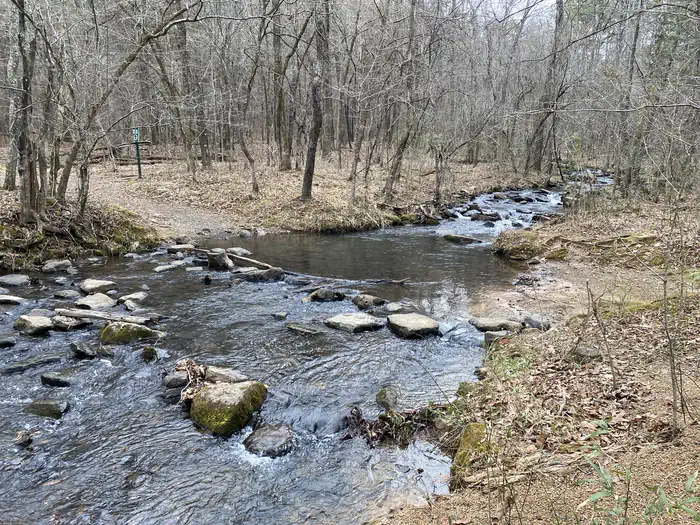 John F Kennedy — Collins Creek
