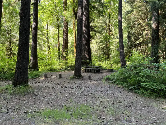 Horse Creek Group Campground β Campground site in trees