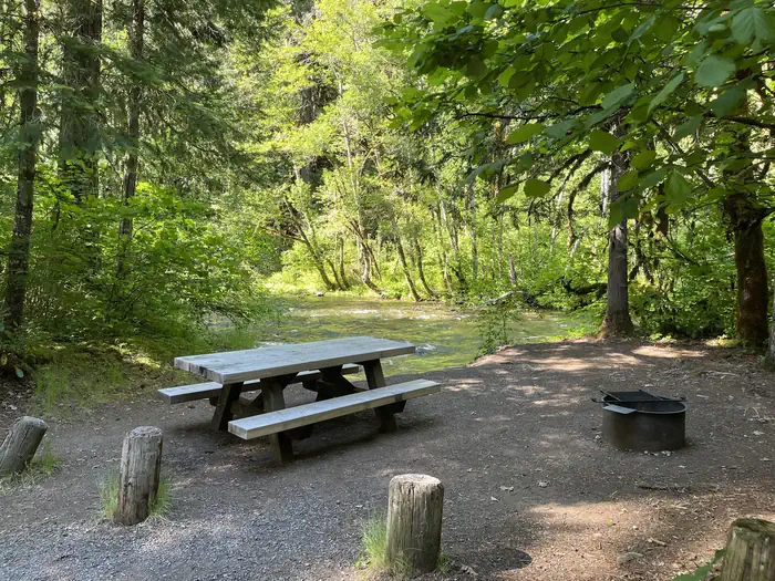 Horse Creek Group Campground β Campsite next to river with picnic table and firering