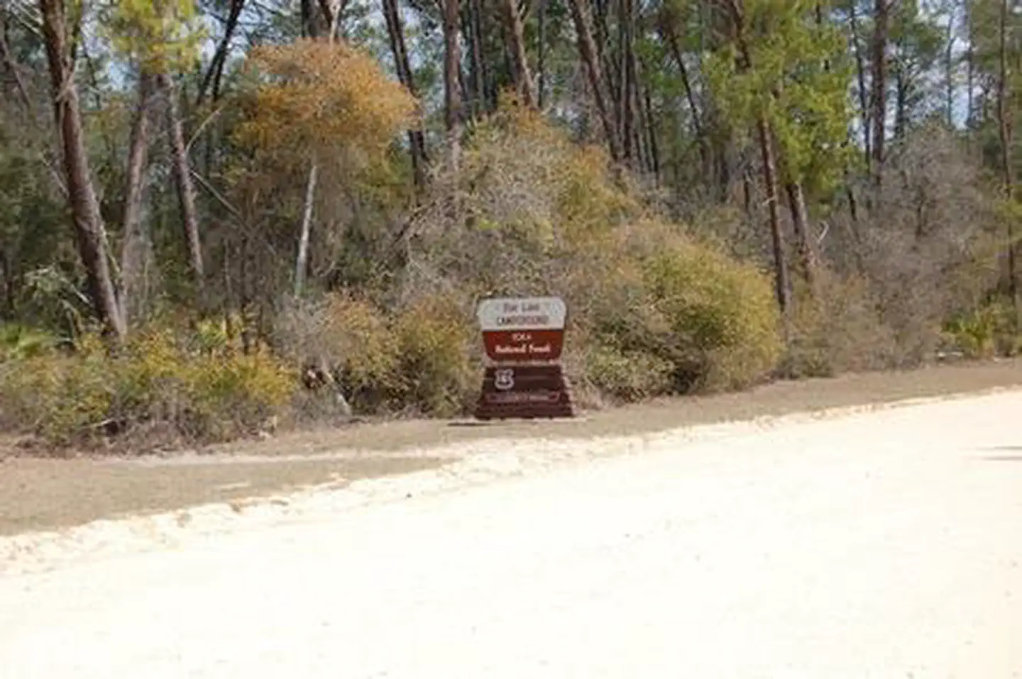 Doe Lake Group Site β DOE LAKE GROUP SITE