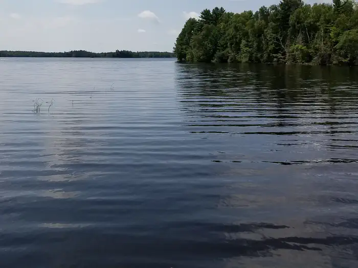 Moose Lake — Moose Lake Boat Landing View