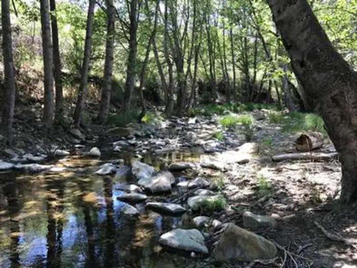 Middle Lion Campground — MIDDLE LION CAMPGROUND