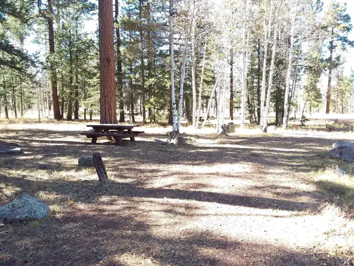 Winn — WINN Campground Site 4