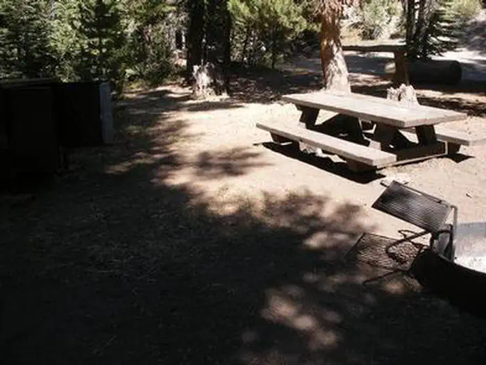 Agnew Horse Camp — AGNEW HORSE CAMP