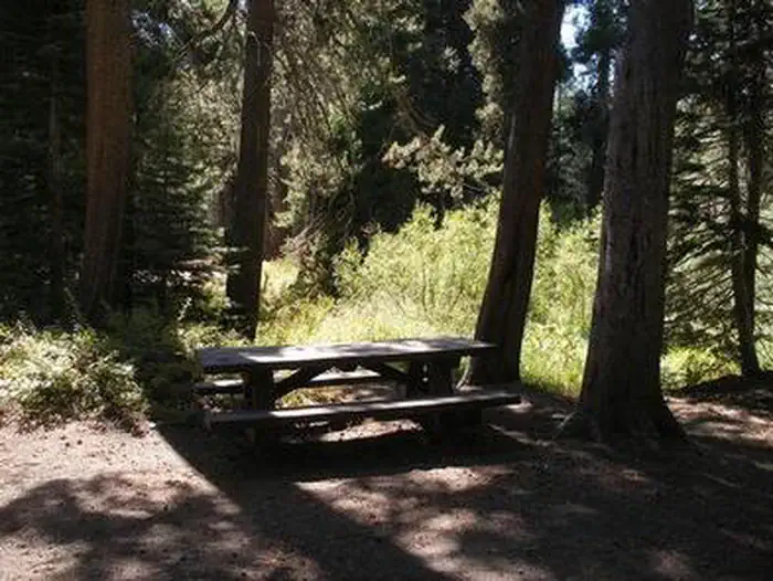 Agnew Horse Camp — AGNEW HORSE CAMP