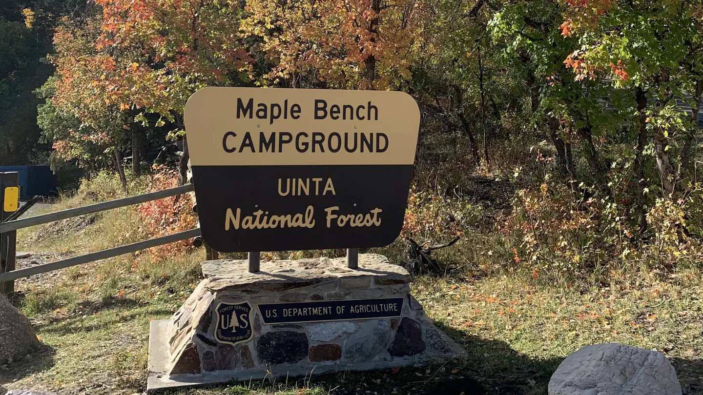 Maple Bench