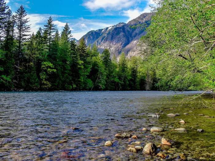 Newhalem Creek Campground — Placid river bordered by lush forests with tall mountains in the distance