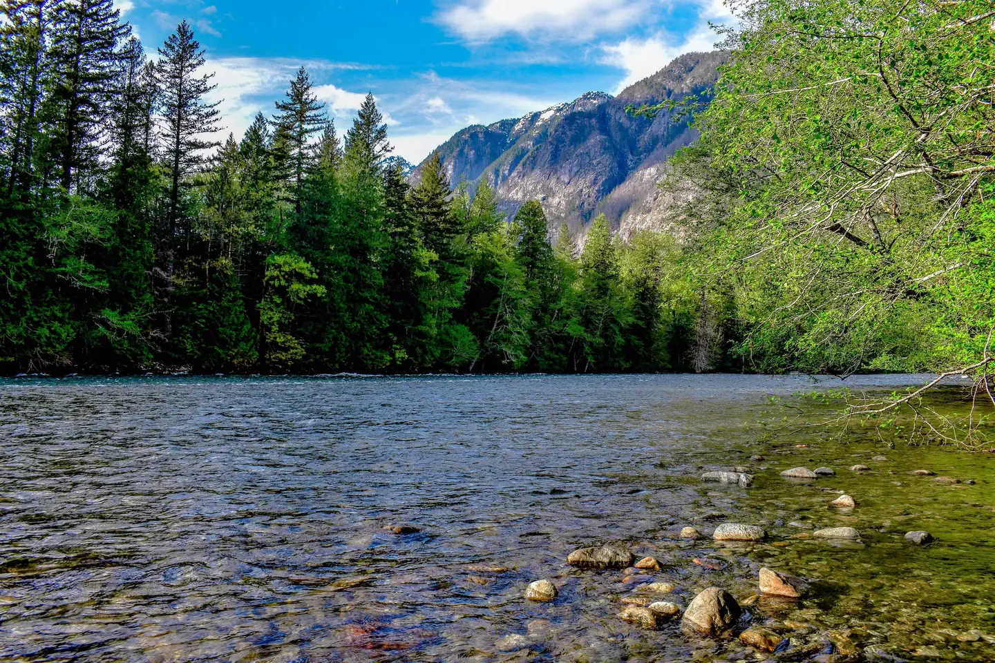 Newhalem Creek Campground — Placid river bordered by lush forests with tall mountains in the distance