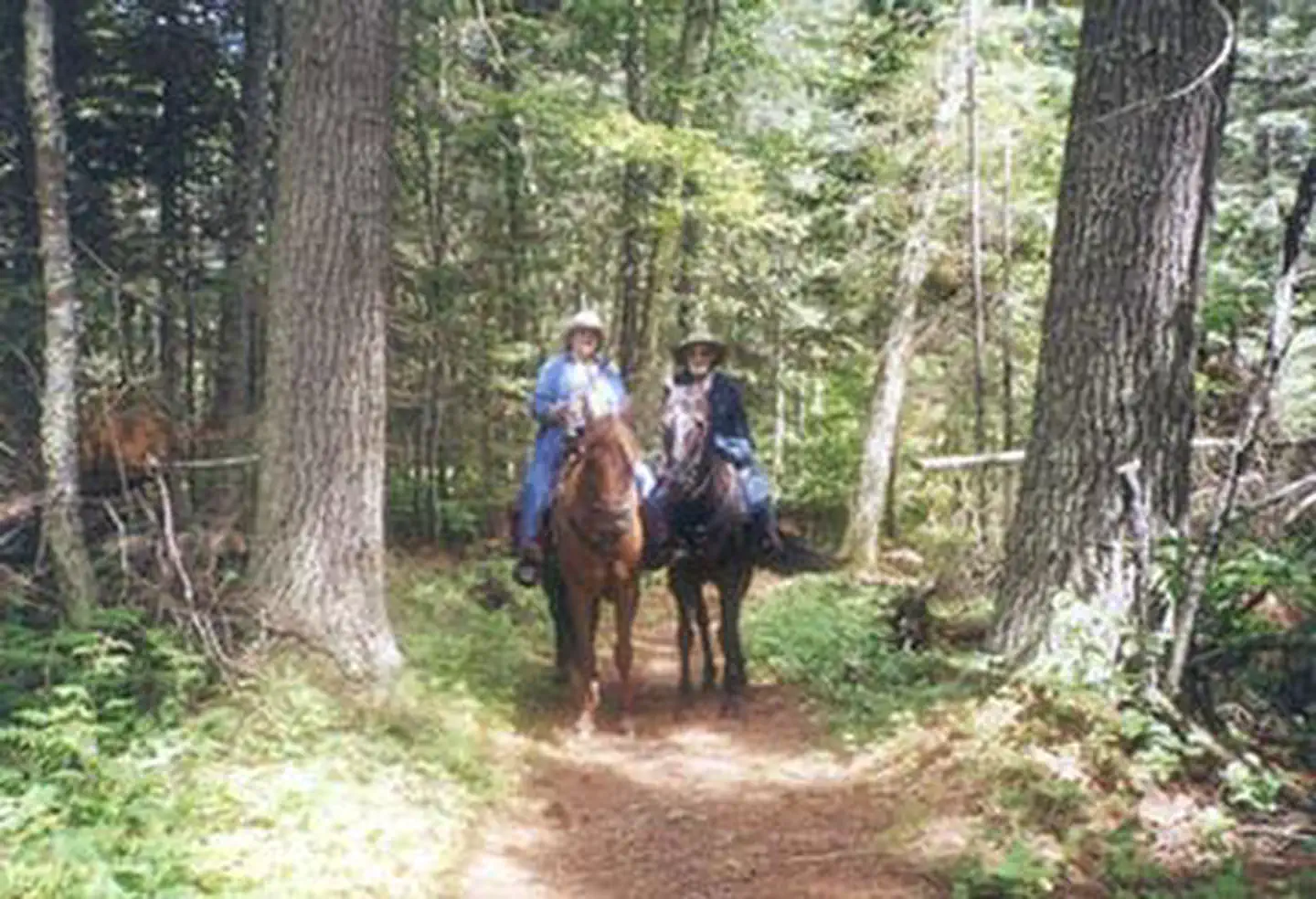 Cut Foot Horse Camp