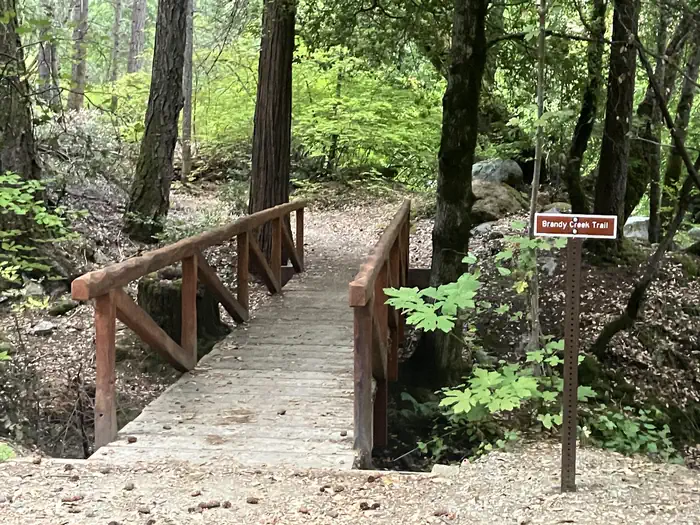 Sheep Camp Primitive Campground — Brandy Creek Trail