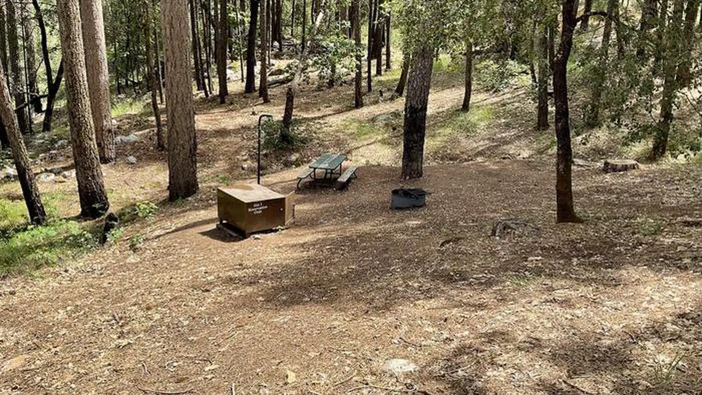 Sheep Camp Primitive Campground — A photo of typical Sheep Camp Primitive campsite.