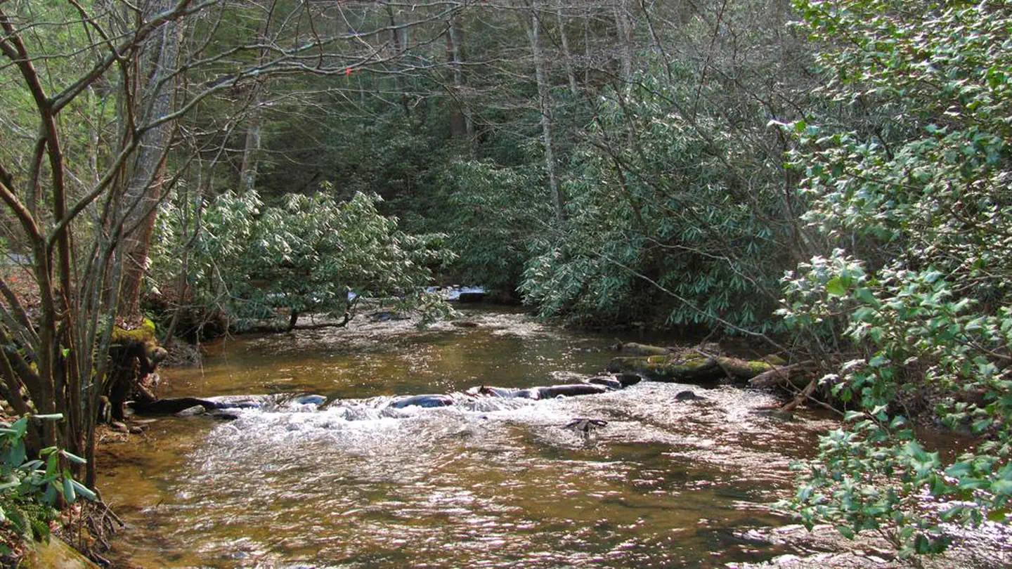 Frank Gross Campground