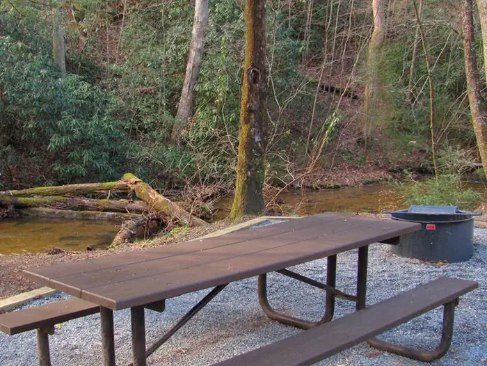 Frank Gross Campground — Campsite