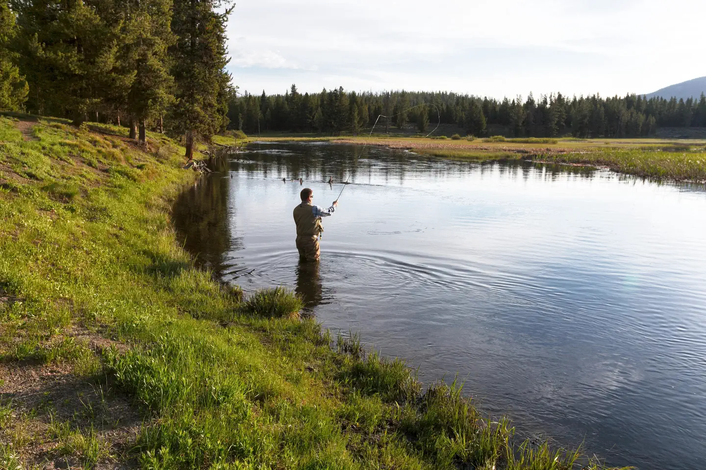 Headwaters Campground at Flagg Ranch — Fishing at Polecat Creek
