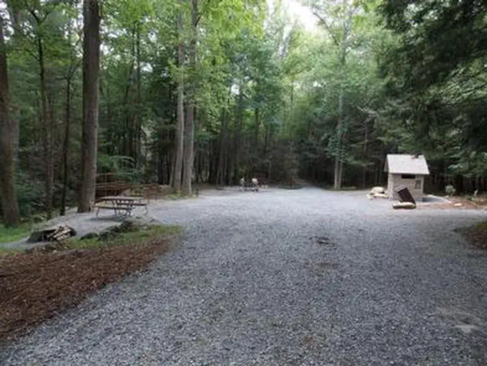 Anthony Creek Horse Camp — ANTHONY CREEK HORSE CAMP
