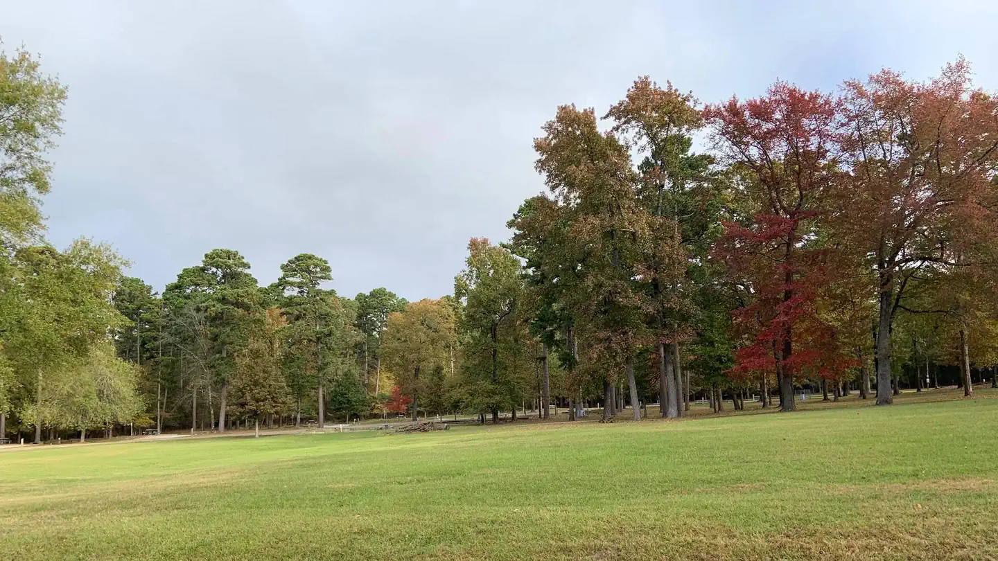 Johnson Creek Camp — RV1