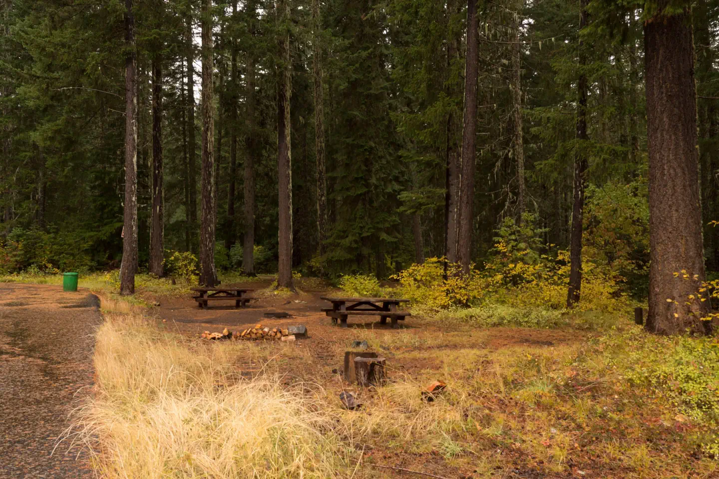 Atkisson Group Camp β Atkisson Group Campsite