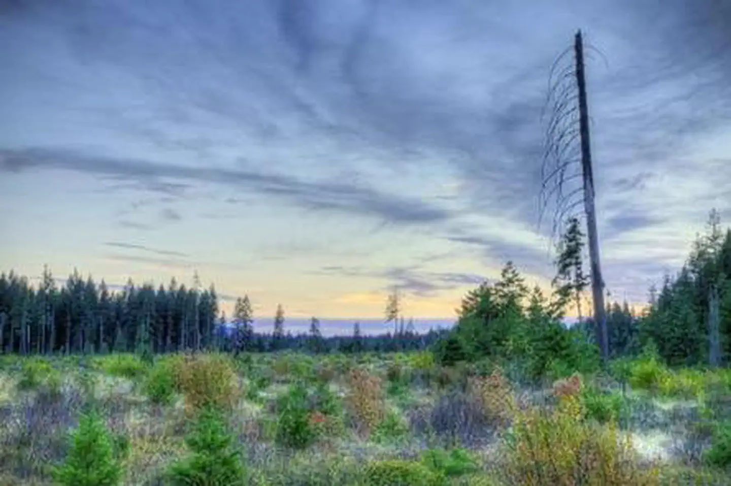 Atkisson Group Camp β Atkisson Group camp