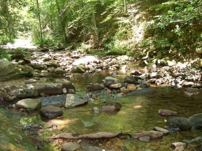 Parksville Lake RV Campground — Creek running alongside campground