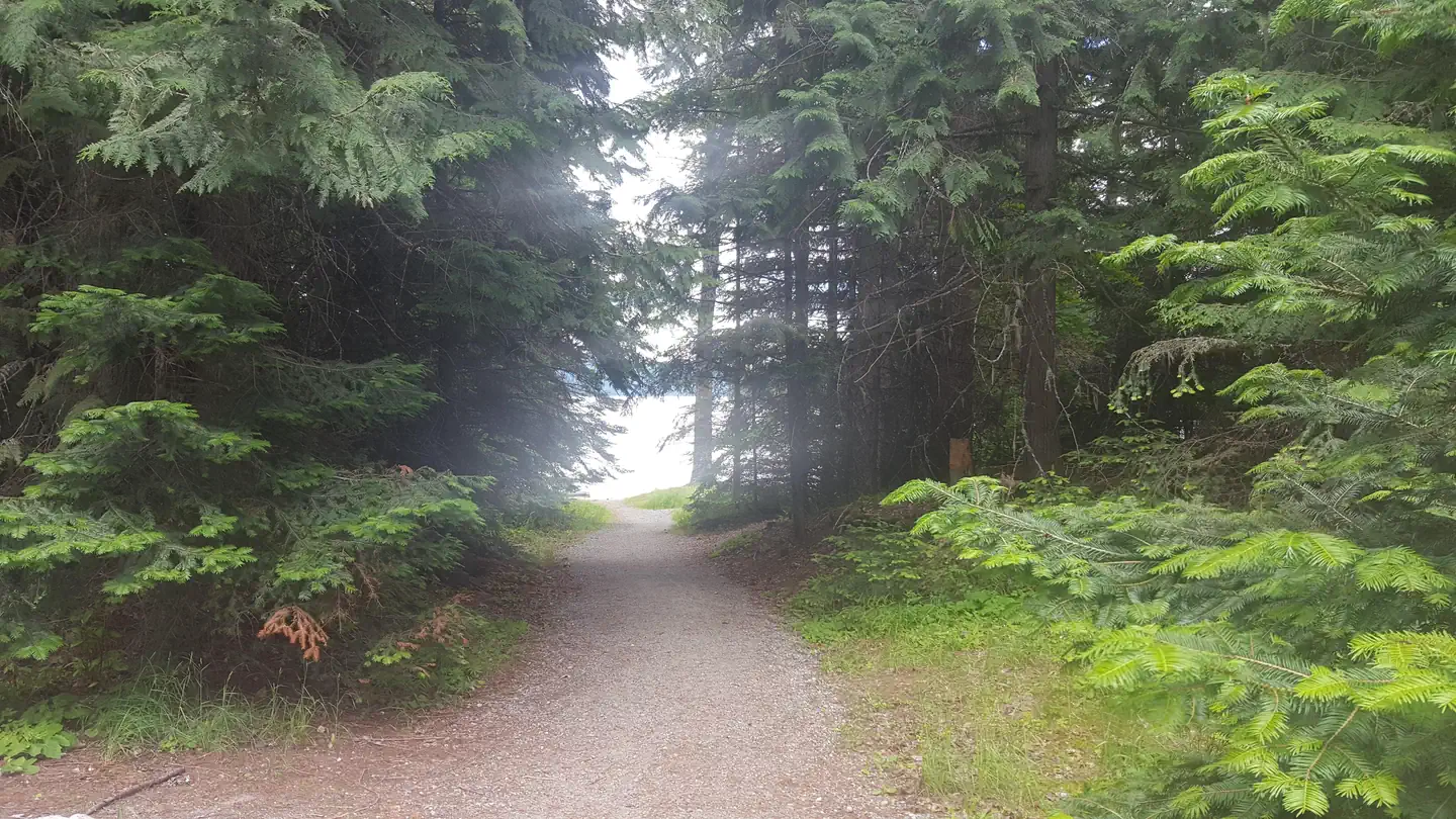 Beaver Creek Campground
