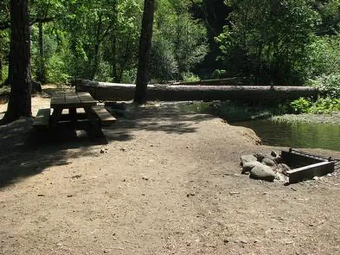 Ripplebrook Campground — RIPPLEBROOK