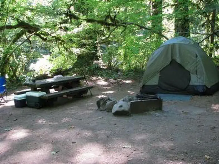 Ripplebrook Campground — RIPPLEBROOK