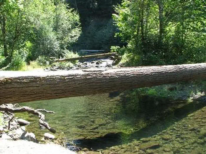 Ripplebrook Campground — RIPPLEBROOK
