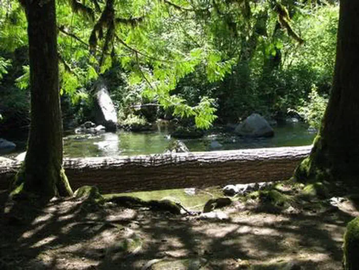 Ripplebrook Campground — RIPPLEBROOK