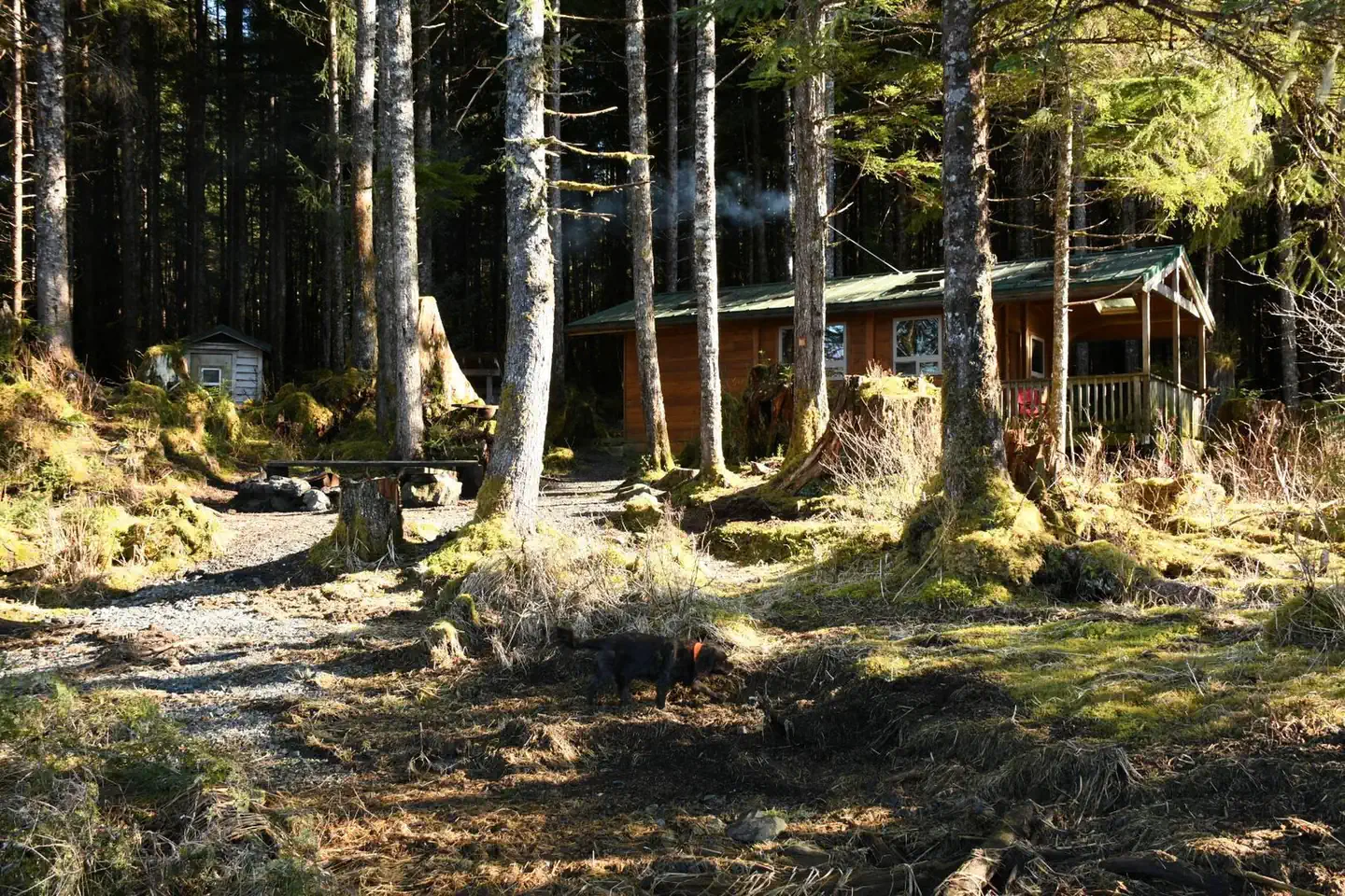 Twelvemile Cabin — Twelvemile Cabin3