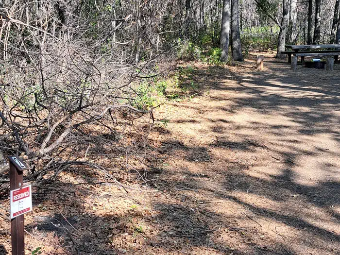 Windy Point Campground — Windy Point Campground Site #2