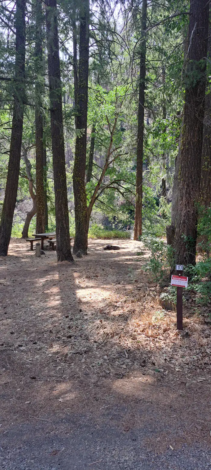 Windy Point Campground — Windy Point Campground Campsite #10