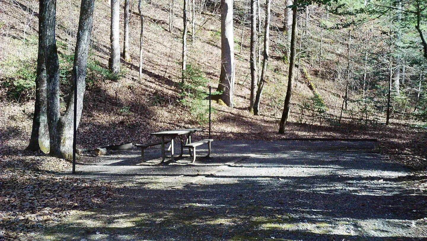 Upper Chattahoochee River — A great place to be