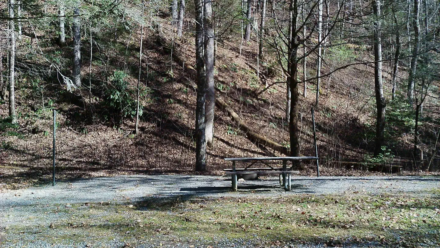 Upper Chattahoochee River — Almost to the end of the campground