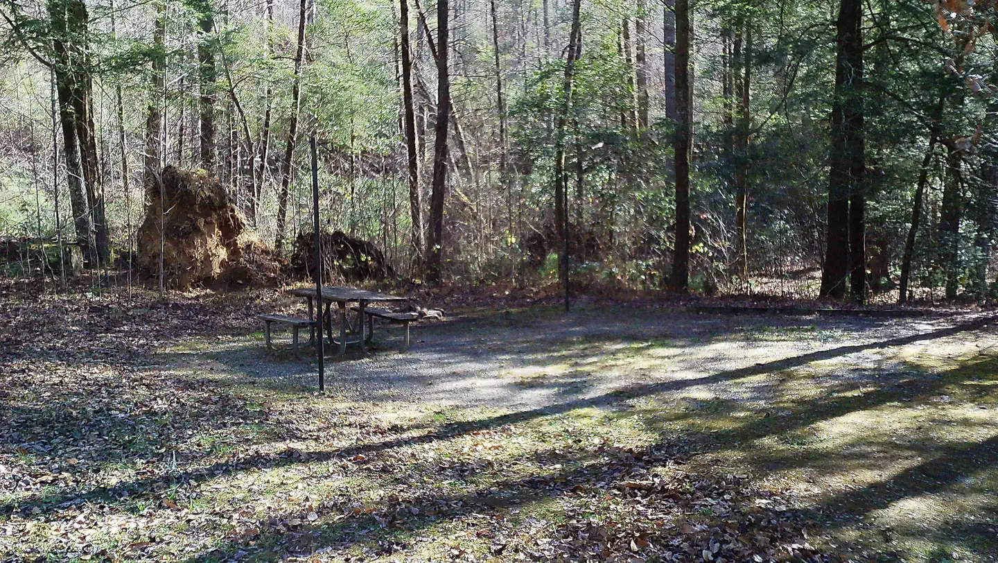 Upper Chattahoochee River — Long driveway