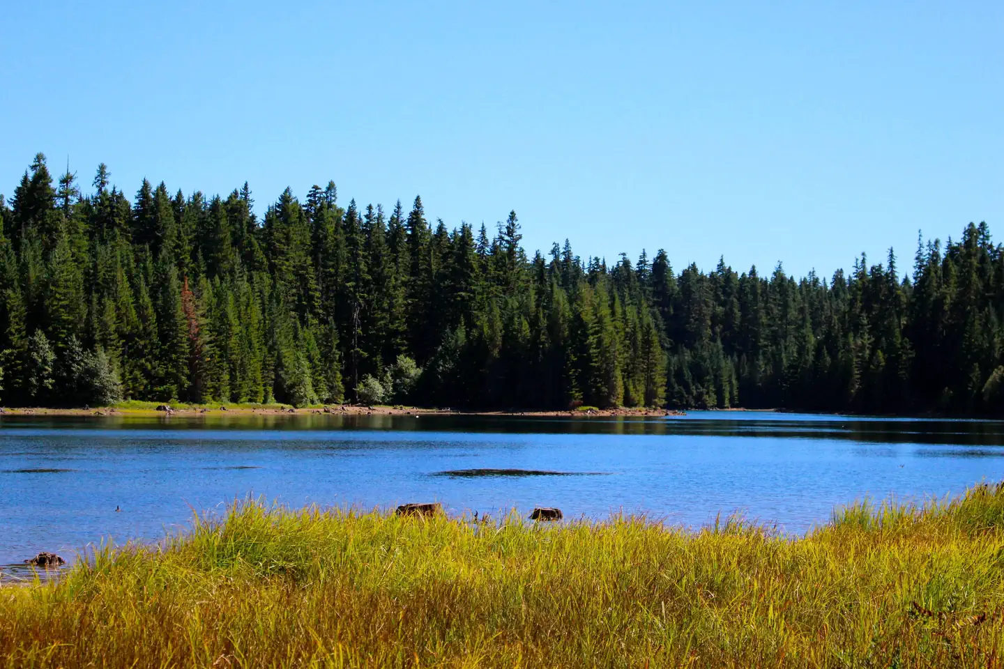 North Arm Campground (Timothy Lake, OR) — NORTH ARM (TIMOTHY LAKE) CAMPGROUND