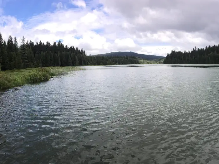North Arm Campground (Timothy Lake, OR) — North arm of Timothy Lake