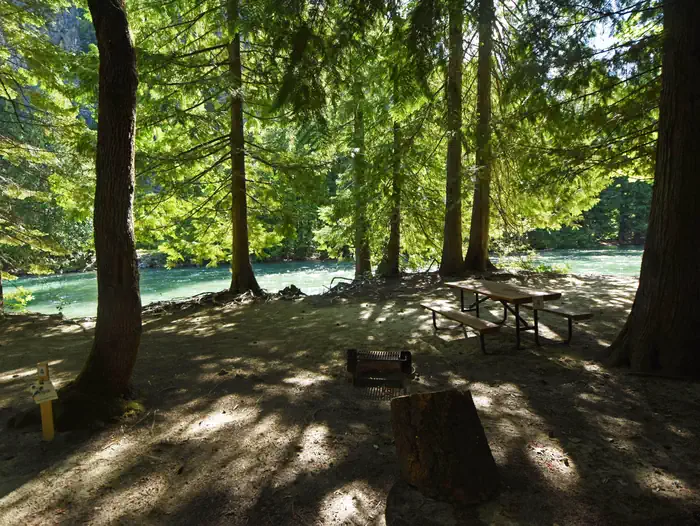 Harlequin Campground — Picnic table and fire grill with trees and river in the background.