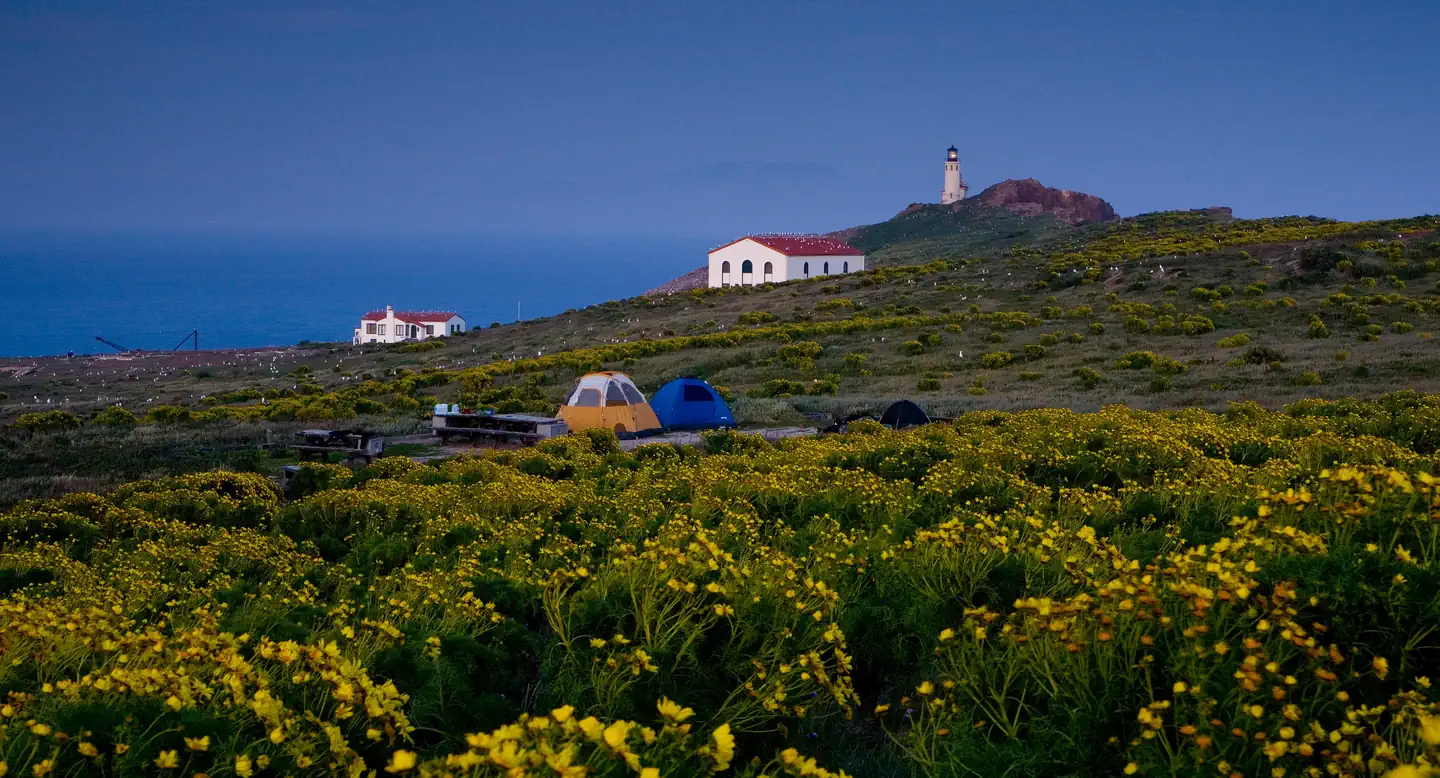 Anacapa Island — Coastal terrace with two tents, two buildings and lighthouse in the distance. 