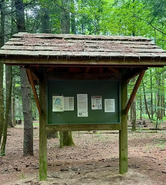 Basin Cove Backcountry Camping — Important Information to Stay Informed