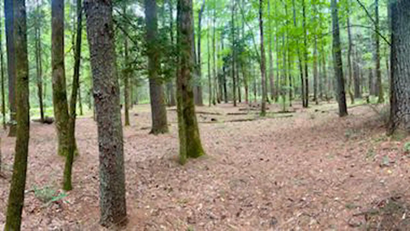 Basin Cove Campground - Primative Camping
