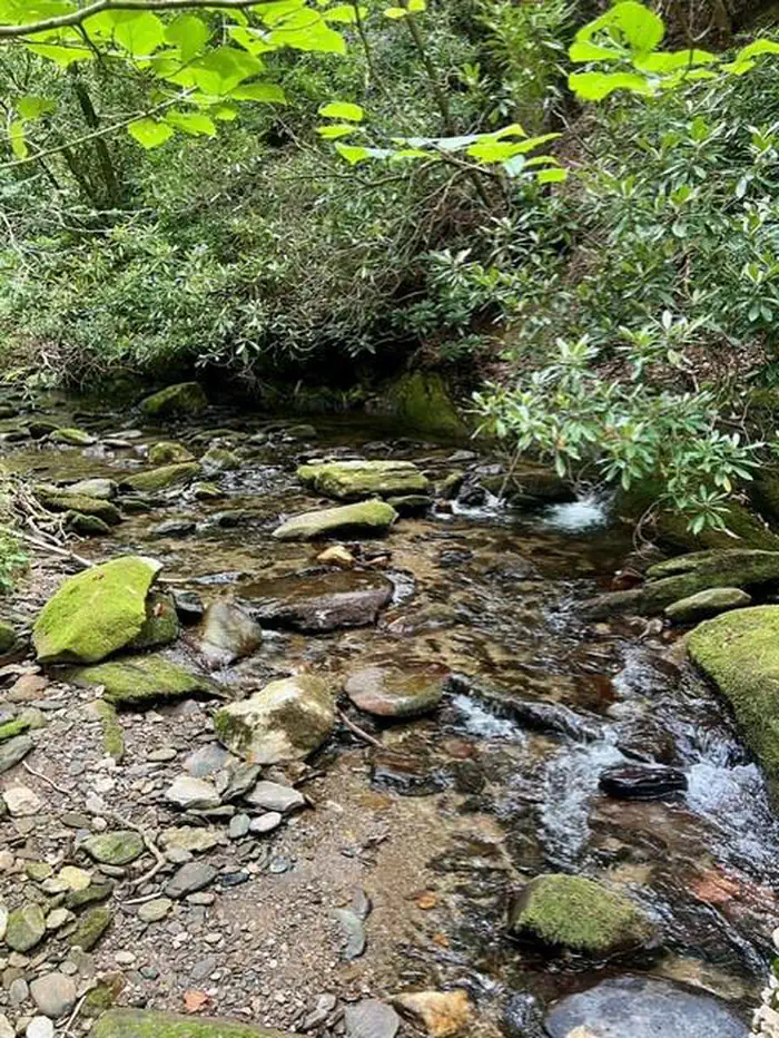 Basin Cove Backcountry Camping — Basin Cove Creek